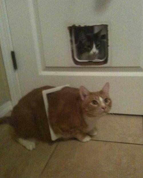 picsthatmakeyougohmm:hmmm
