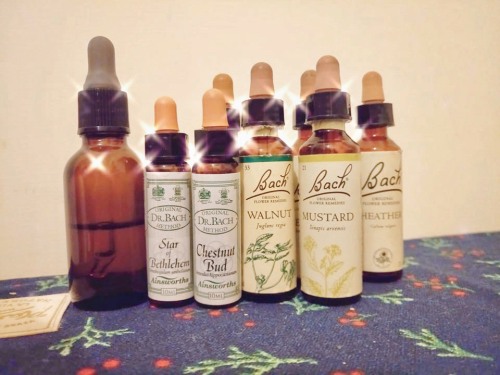 克里特小姐 失戀的時候 克里特小姐 失戀的時候
