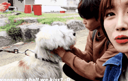 ttherose:Woosung and a doggy = Adorable 