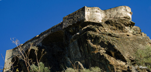 miomulinu