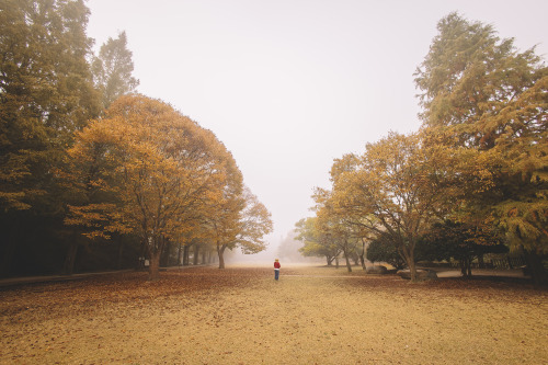 boohwanj:2021-10-31Canon EOS R6 + RF16mm f2.8Instagram  |  hwantastic79vivid