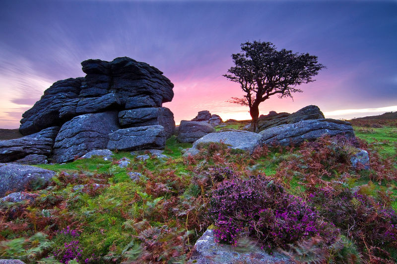 renamonkalou: Devon Landscapes | Alan Howe  