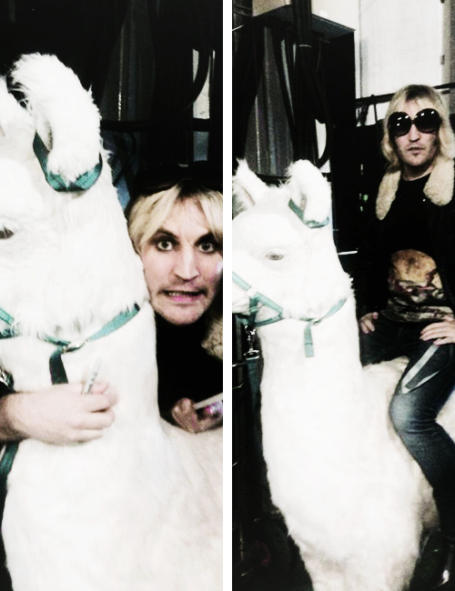 noelandthefieldings:  noelfielding11: Me and Monty Python’s llama x, Best way to get home from O2 af