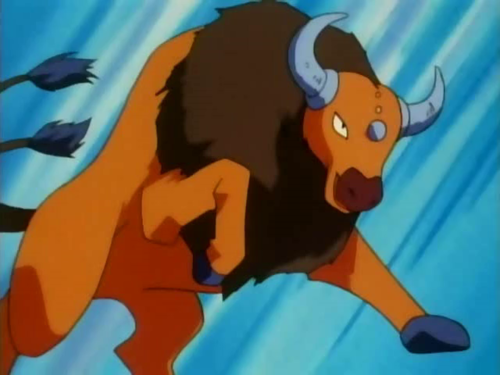 madd-addam:  soundphase:  owlite:  soundphase:  oh my god this is completely unrelated but i looked up tauros on bulbapedia and apparently it’s able to learn surf  ??????????????????  ?????????????????????????????????????  Theres a comic of a tauros
