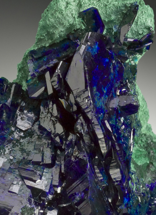 fuckyeahmineralogy:Azurite with malachite; Milpillas Mine, Sonora, Mexico