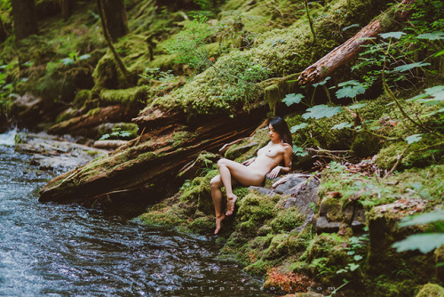 corwinprescott: “Into the Wild”Gifford Pinchot National Forest, Wa 2016Corwin Prescott -