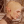 galacticgreywarden: Oh wow the world of Assassin’s Creed Odyssey is so big I can’t