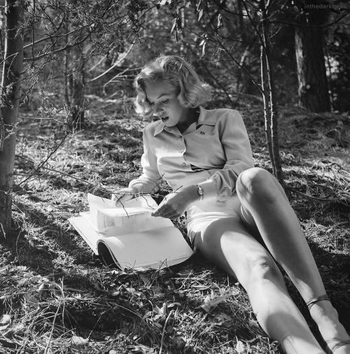 inthedarktrees: Marilyn MonroeEdward Clark, Life, August 8, 1950