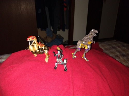 Raptor pack!