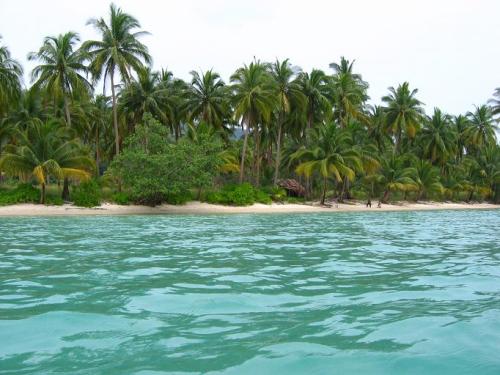gu-avajuice: bo-hemian-tropics:  mango-wave:  tropic—island:  sandytigers:  ✿  ☯✿❁   boho/ tropical 