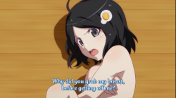 exactatriactor:  Nisemonogatari is an intellectual work for intelligent people. You just don’t understand the deep symbolism.