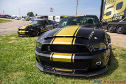 musclecarblog:  Shelby GT-500 Super Snake ´13 by B&amp;B Kristinsson on Flickr.