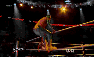 wrasslormonkey:  This hurt… somebody