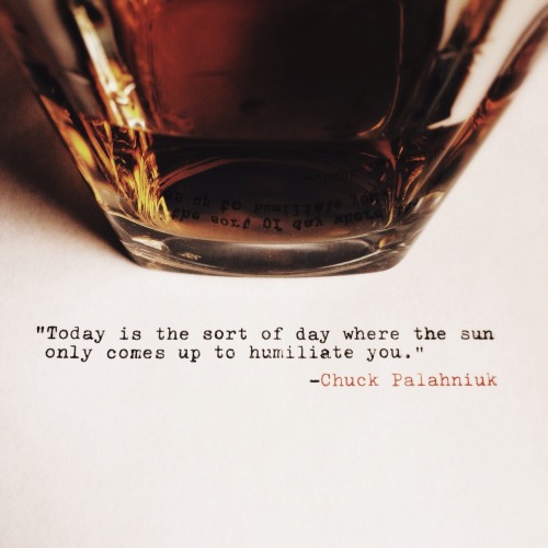 whiskeyandmisanthropy:  Cheers to the setting sun. 