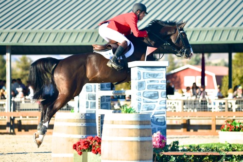 Sonoma Horse Park - Strides and Tides Grand Prix 2013 - Colorado and Bjorne Ikast