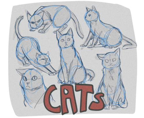 coast-robbo:  everydaycomics:  Sorry this isn’t much of a Tutorial but yeah this is how i draw cats now.   This is very important 
