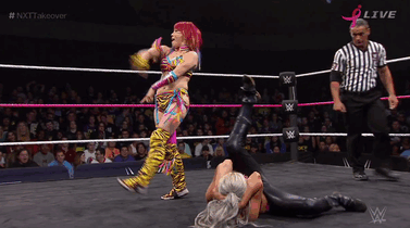 Wrestling Giffer