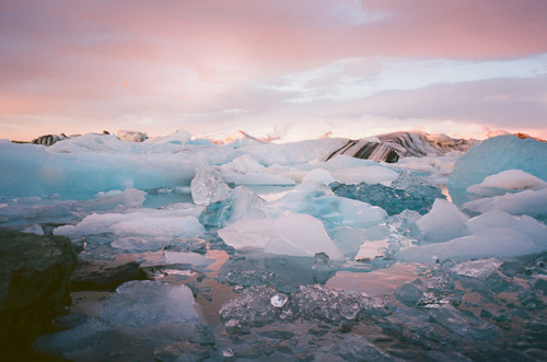 kaleidoscopeluhvv: Jökulsárlón Iceland, 2017 // Contax G1, Ektar 100 