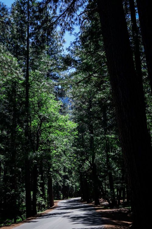 delta-breezes:  Made by Mary