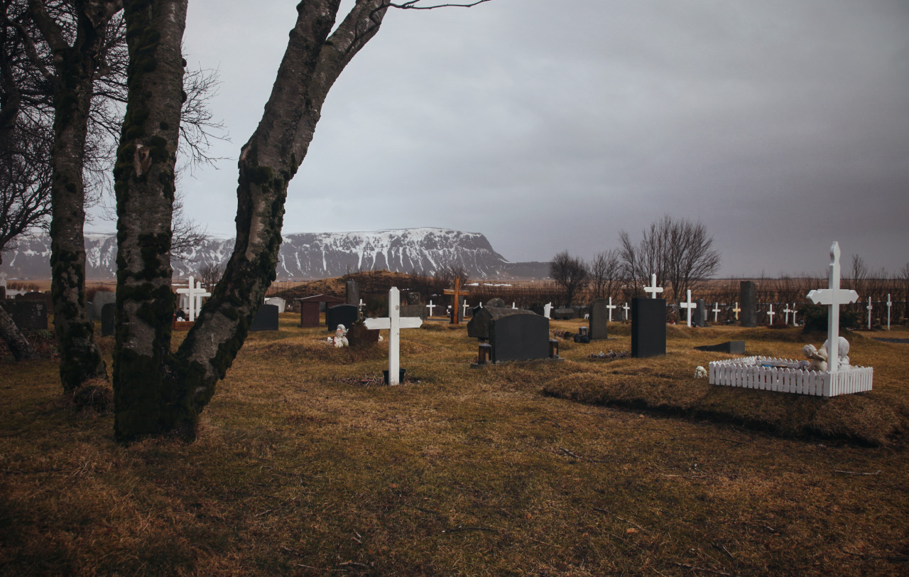 shaefierce:  I loved the steeples and graveyards in Iceland. 
