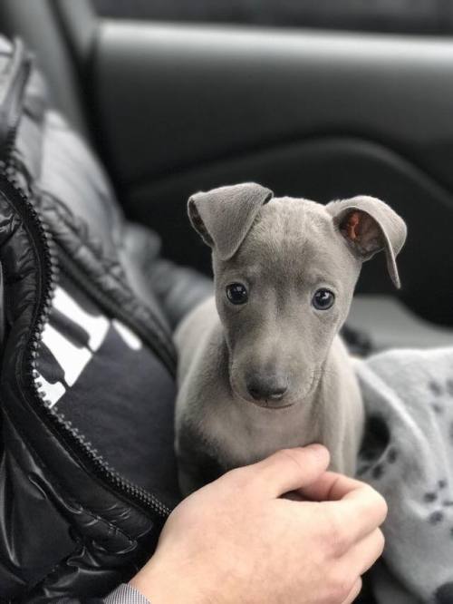 The Most Beautiful Thing You'll See Today.
