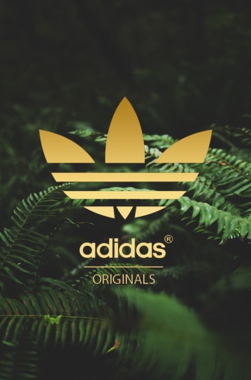 ʟᴏʏᴀʟᴛʏ ɪꜱ ʀᴀʀᴇ ᴀғ