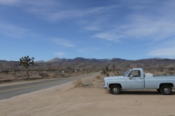 nofuckingwayjose:  Near Pioneertown, CA,