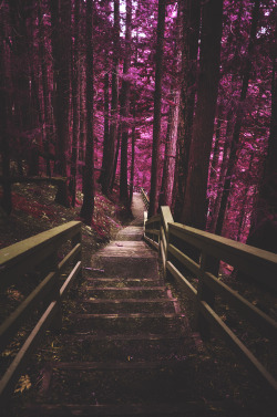 deeplovephotography:  Vancouver Island Infrared