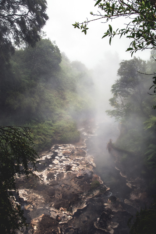piavalesca:steaming creek
