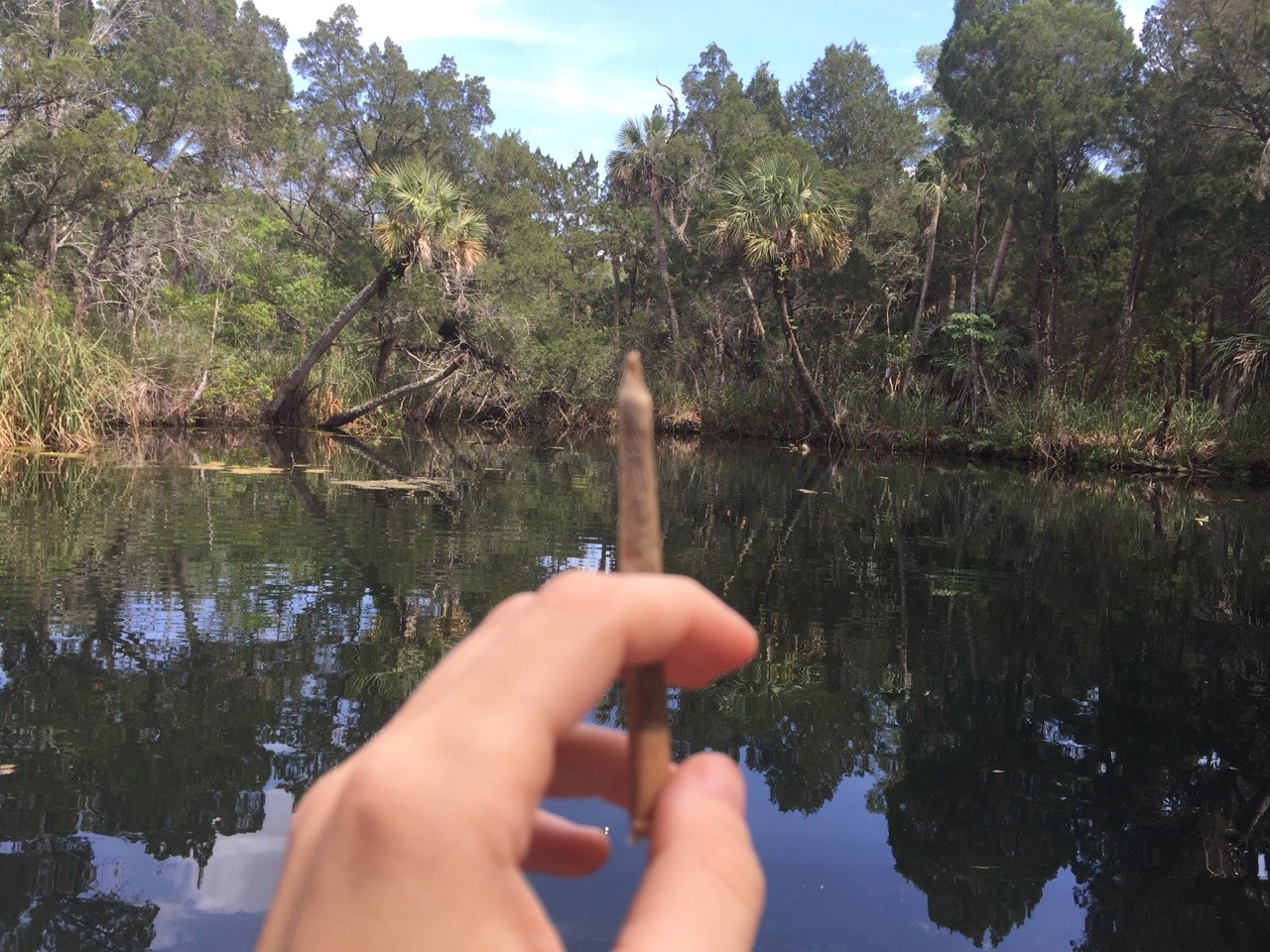 tiedyedsunfl0wer:  i hope everyone had a really cool 4/20✨🌟✨
