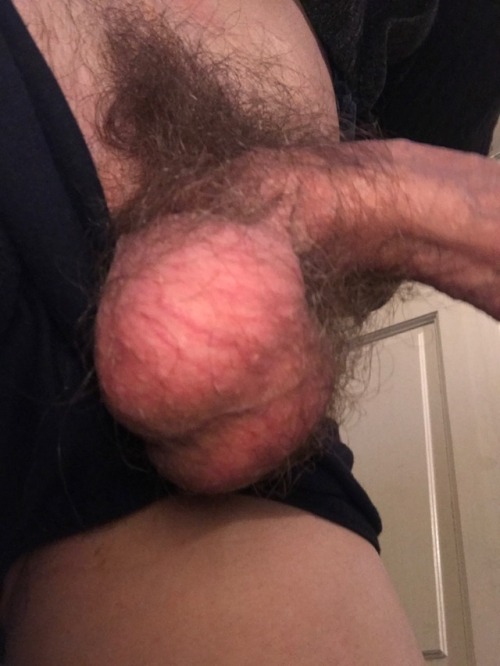 thisguy503867:How hairy are your balls? Let me see.