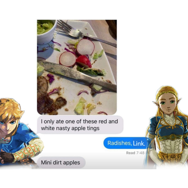 Link Bae [Zelda Meme]