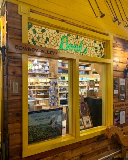 thekineticmachine:authorbrandondion:Hole in the Wall Book Store is an independent