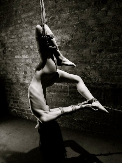 Desires and So Much More