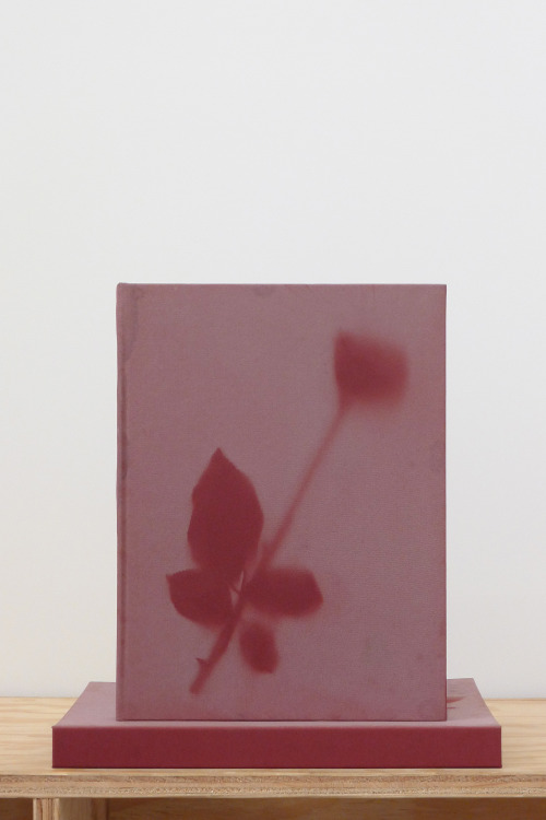 karmakarmanyc: SAM FALLS, DEATH SEQUENCE SIGNED HARDCOVER SPECIAL EDITION OF 75  EACH UNIQUE  跾 PURCHASE 