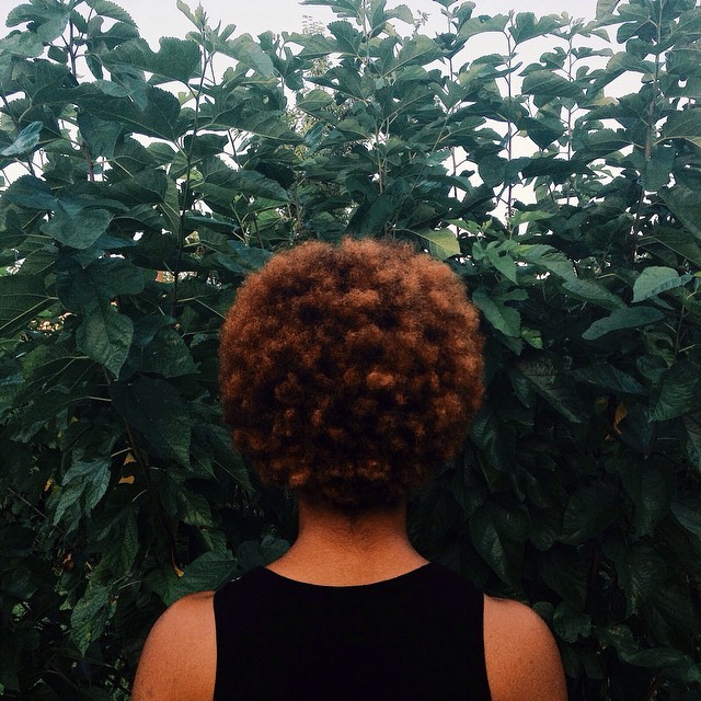 lensofgrace:  p i ne a pp les.  fro x Allonna James  photo courtesy of Deun Ivory