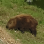luzcamera