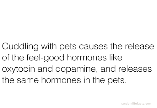 psychofactz:  More facts