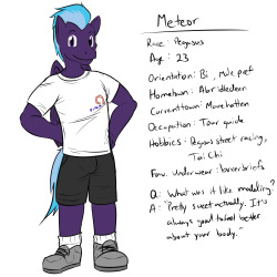 Meet the model ref sheet, for Meteor, who was on the couch, but it was a while ago.