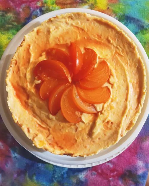 My second persimmon cheesecake came out a lot prettier #food #baking #cheesecake #persimmon #homecoo