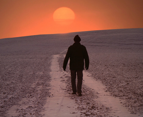 sickpage:  Sverrir ThorolfssonPromenad on Sunset Avenue, 2010 