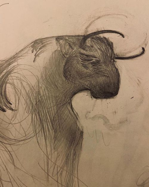 nataliehall:This aggression will not stand