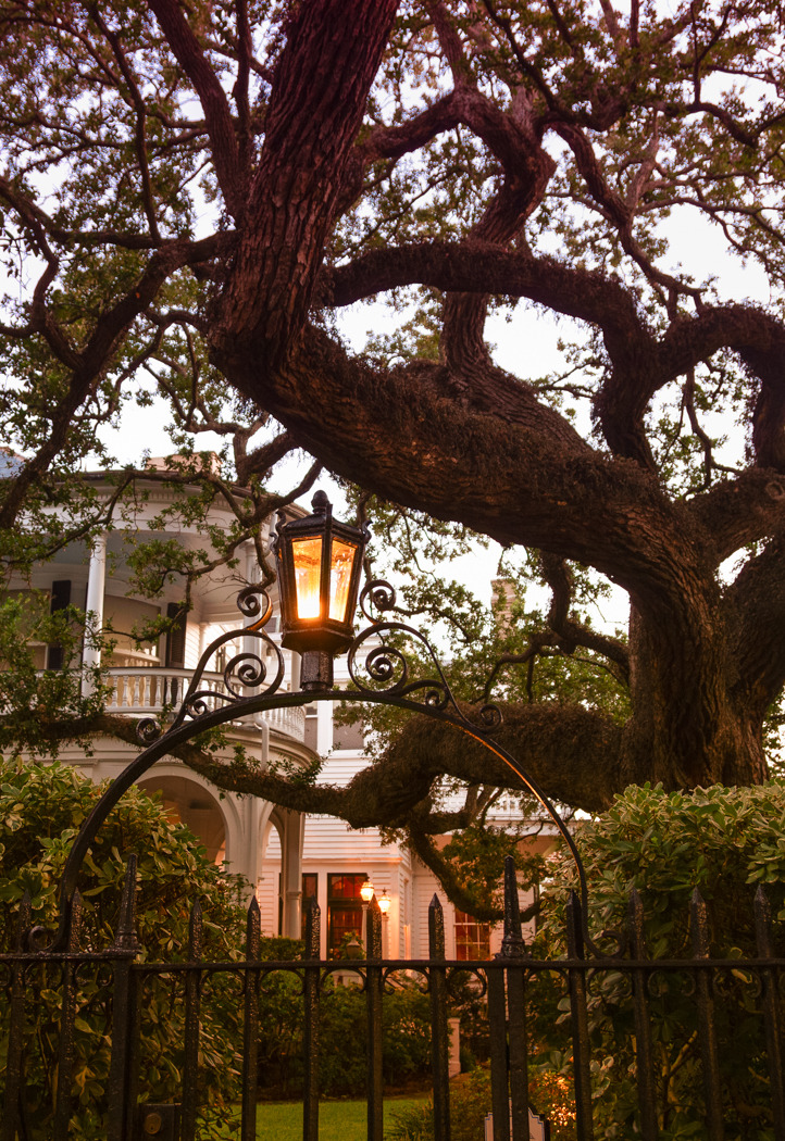 hueandeyephotography:Lantern and Live Oak at an Historic Inn, Charleston, SC© Doug