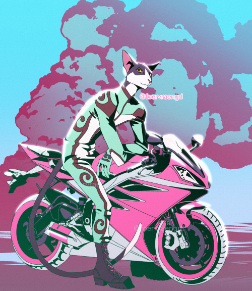 foervraengd: WARRIOR CATS BIKER AU