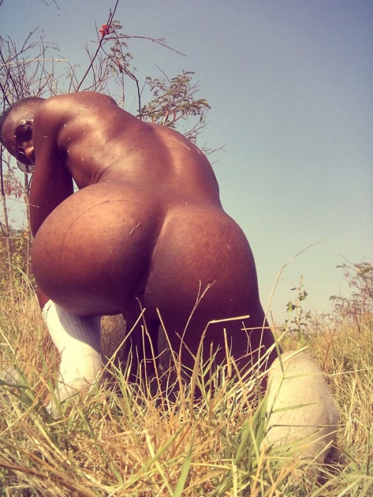 theholewhisperer:  