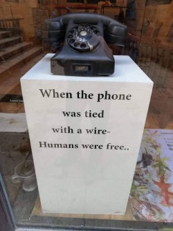 https://64.media.tumblr.com/56ec9d2b0b0970ff9d3ae42c84c278c9/tumblr_pmpm8g079a1t9x044_540.jpg