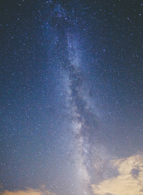 juliamstarr:The sky on the night of the Perseid meteor shower in 2012 in the San Diego area.Instagra