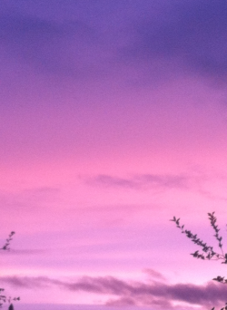 softwaring:  the sky earlier n a gradient