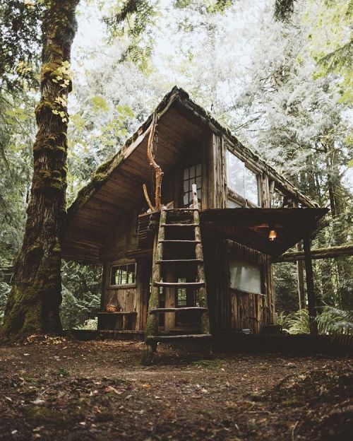 spiritbreather: voiceofnature: Whimsical cabins by Christopher Kerksieck !!!!