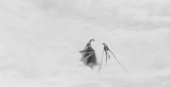 ariannsmartell:  Daenerys has taken up residence in Meereen. She has conquered the